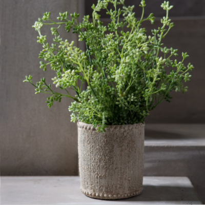 Pots, Planters & Stands | Interiors DBK