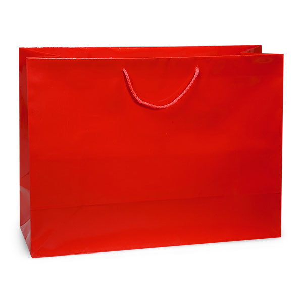 Glossy Gift Bag